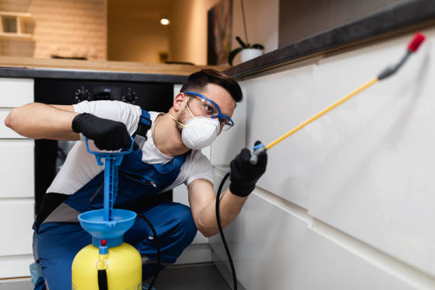 Professional Pest Control in Frankfort, IL