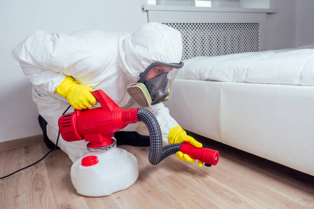 Best Termite Control Services  in Frankfort, IL