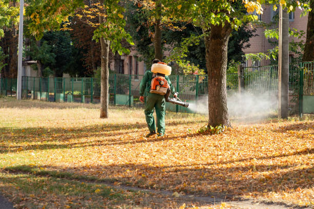 Best Commercial Pest Control Services  in Frankfort, IL