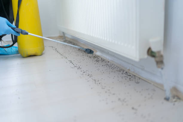 Best Best Pest Control Companies  in Frankfort, IL