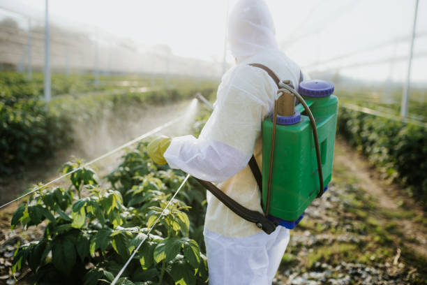 Best Residential Pest Control  in Frankfort, IL